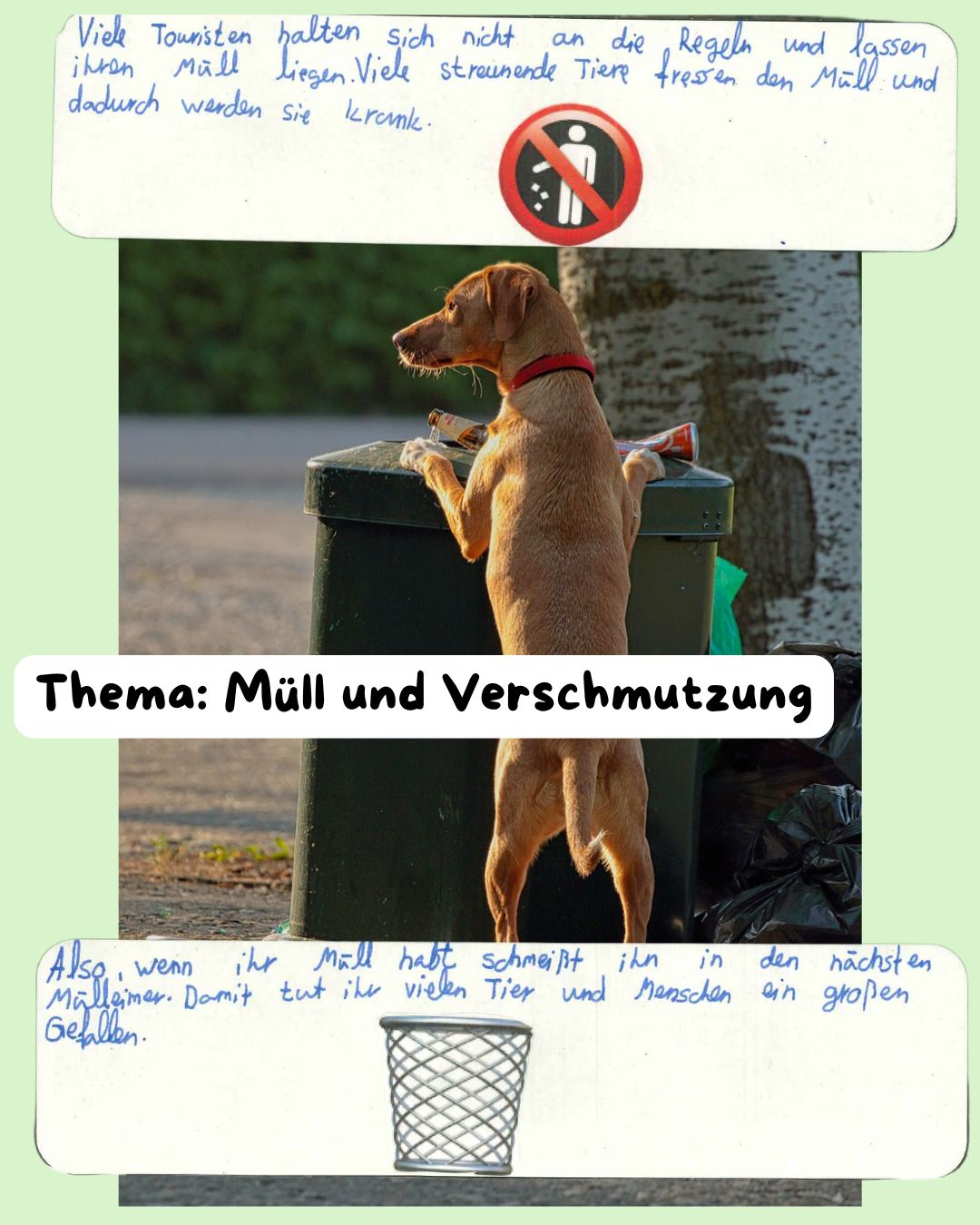 2026 Erdkundeprojekt 5er 5
